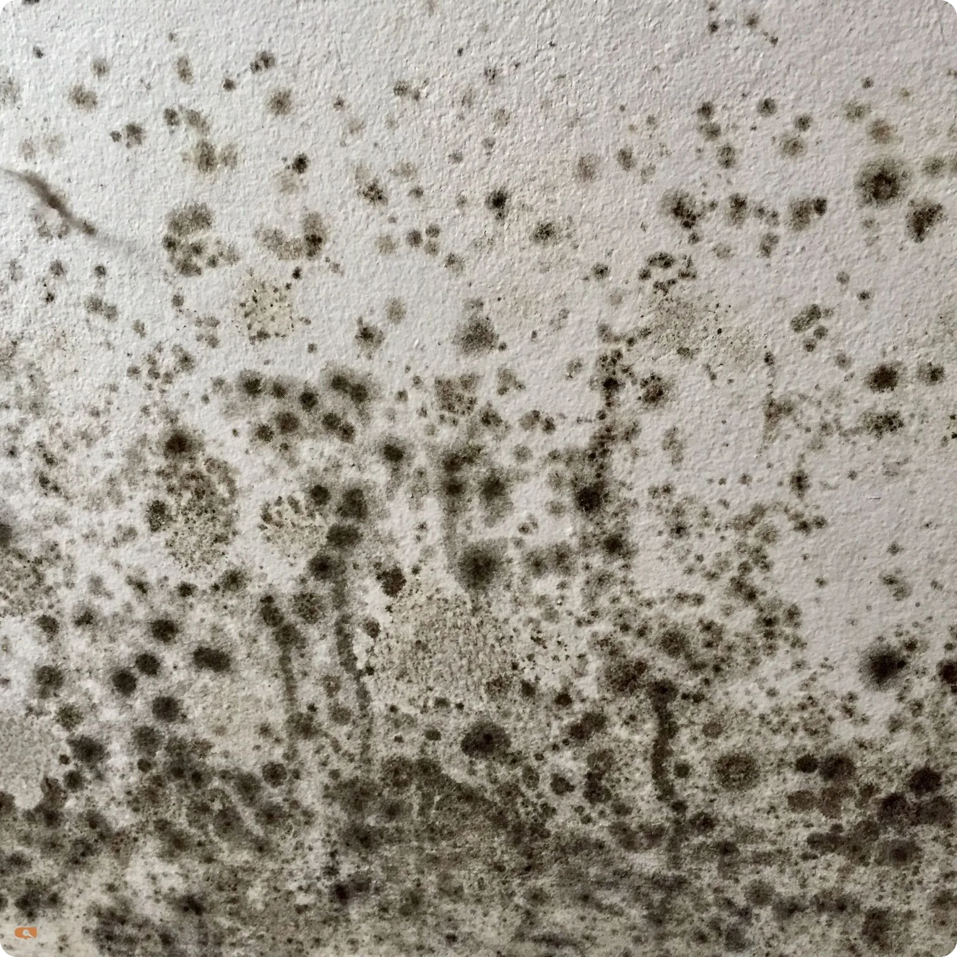 how to spot caravan damp